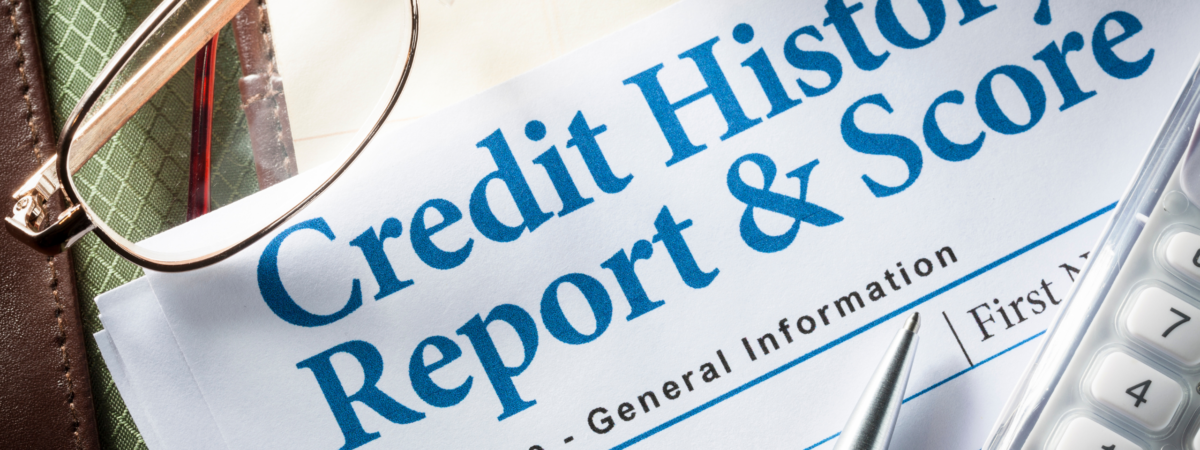 How to Do a Credit Check With Your ID Number
